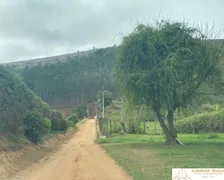 Fazenda / Sítio / Chácara com 10 Quartos à venda, 120000m² no Serra, Teresópolis - Foto 28