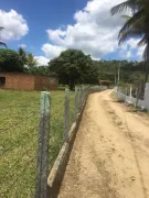 Fazenda / Sítio / Chácara com 4 Quartos à venda, 189m² no , Agrestina - Foto 3