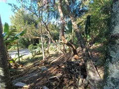 Terreno / Lote / Condomínio à venda no Pântano do Sul, Florianópolis - Foto 2