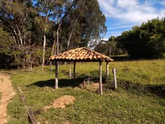 Fazenda / Sítio / Chácara com 3 Quartos à venda, 880000m² no Silva Campos, Pompéu - Foto 13