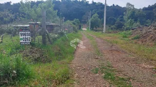 Fazenda / Sítio / Chácara com 2 Quartos à venda, 1250m² no Centro, Monte Belo do Sul - Foto 12