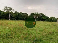 Fazenda / Sítio / Chácara à venda, 1064800m² no Zona Rural, Itapirapuã - Foto 1