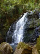 Fazenda / Sítio / Chácara com 4 Quartos à venda, 240000m² no Vale das Colinas, Gramado - Foto 8