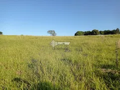 Fazenda / Sítio / Chácara com 2 Quartos à venda, 80m² no Centro, Avaí - Foto 15