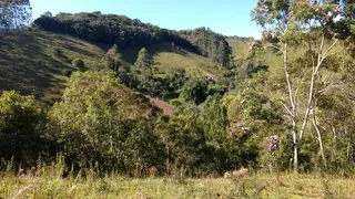 Fazenda / Sítio / Chácara com 3 Quartos à venda, 363000m² no Bairro Alto, Natividade da Serra - Foto 13