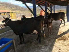 Fazenda / Sítio / Chácara com 1 Quarto à venda, 600m² no , Caninde - Foto 6