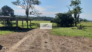 Terreno / Lote / Condomínio com 1 Quarto à venda, 96160m² no Pirabeiraba Pirabeiraba, Joinville - Foto 19