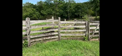 Fazenda / Sítio / Chácara com 3 Quartos à venda, 27000m² no Area Rural de Senador Canedo, Senador Canedo - Foto 12