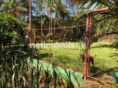 Fazenda / Sítio / Chácara com 3 Quartos à venda, 13300m² no Recanto do Igarapé, Igarapé - Foto 23