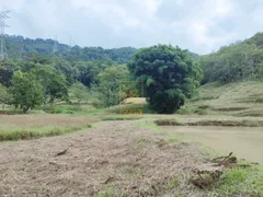 Fazenda / Sítio / Chácara com 3 Quartos à venda, 24750m² no Araponguinhas, Timbó - Foto 9