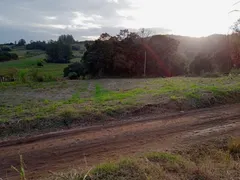 Terreno / Lote / Condomínio à venda, 20000m² no , Cruzeiro do Sul - Foto 4