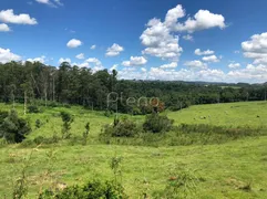 Terreno / Lote / Condomínio à venda, 1000m² no Vila Sonia Sousas, Campinas - Foto 6