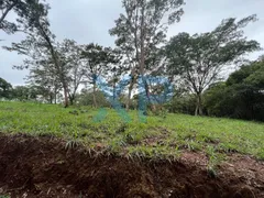 Fazenda / Sítio / Chácara com 3 Quartos à venda, 80m² no Zona Rural, São Sebastião do Oeste - Foto 11