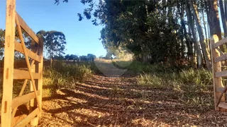 Fazenda / Sítio / Chácara com 1 Quarto à venda, 145200m² no Centro, Turvolândia - Foto 3