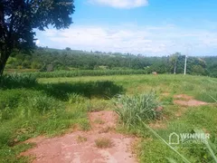 Fazenda / Sítio / Chácara à venda, 16000m² no , Alto Paraná - Foto 4