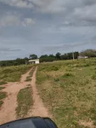 Fazenda / Sítio / Chácara à venda no Zona Rural, Rosário Oeste - Foto 56