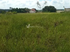 Terreno / Lote Comercial à venda, 5000m² no Betel, Paulínia - Foto 3