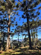 Fazenda / Sítio / Chácara à venda, 20000m² no Zona Rural, Urubici - Foto 12