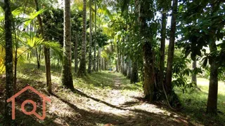 Fazenda / Sítio / Chácara com 2 Quartos à venda, 54000m² no Zona Rural, Juquiá - Foto 18