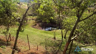 Fazenda / Sítio / Chácara com 5 Quartos à venda, 200m² no Limoeiro, Londrina - Foto 30