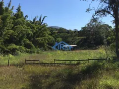 Fazenda / Sítio / Chácara com 3 Quartos à venda, 96000m² no Parque Varanguera, São Roque - Foto 8