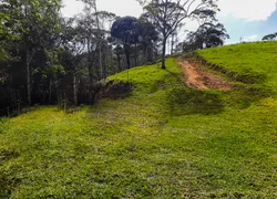 Fazenda / Sítio / Chácara à venda, 55544m² no Cedro Alto, Brusque - Foto 4