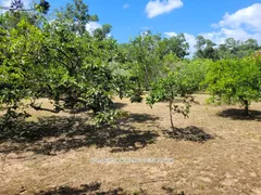 Fazenda / Sítio / Chácara com 3 Quartos à venda, 4418m² no Guaíba Country Club, Eldorado do Sul - Foto 62