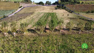 Fazenda / Sítio / Chácara à venda, 35000m² no Zona Rural, Santa Tereza - Foto 5