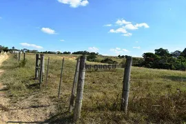 Fazenda / Sítio / Chácara com 5 Quartos à venda, 1258400m² no , Porto Feliz - Foto 5