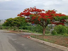 Terreno / Lote / Condomínio à venda, 360m² no Novo Campinho, Pedro Leopoldo - Foto 48