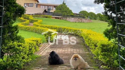 Casa de Condomínio com 4 Quartos à venda, 1100m² no Park Way, Brasília
