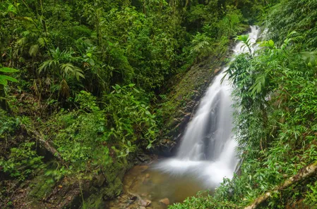 Fazenda / Sítio / Chácara com 3 Quartos à venda, 80000m² no Visconde de Mauá, Resende