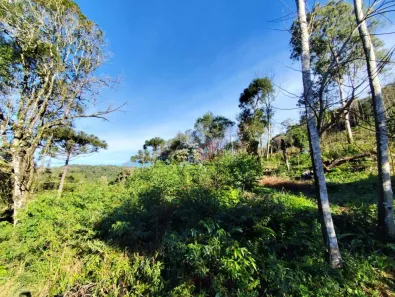 Fazenda / Sítio / Chácara à venda, 30000m² no , Santa Maria do Herval