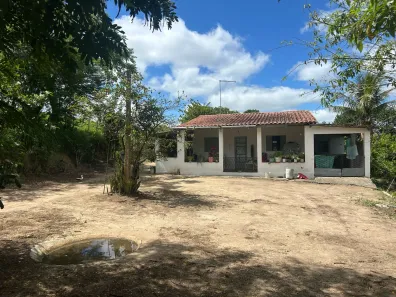 Fazenda / Sítio / Chácara com 2 Quartos à venda, 125000m² no , Sairé
