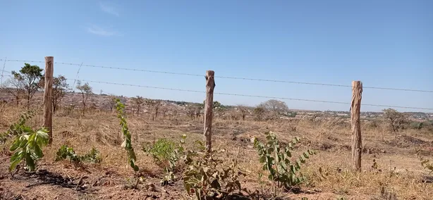 Fazenda / Sítio / Chácara com 4 Quartos à venda, 21000m² no Parque da Barragem Setor 13, Águas Lindas de Goiás
