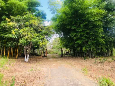Fazenda / Sítio / Chácara com 6 Quartos à venda, 50000m² no Arapoanga, Brasília