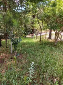 Terreno / Lote / Condomínio com 1 Quarto à venda, 2414m² no , Balsa Nova