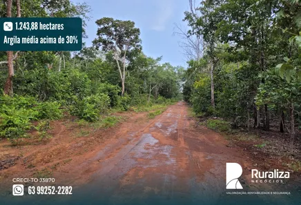 Fazenda / Sítio / Chácara à venda, 1243m² no , Divinópolis do Tocantins