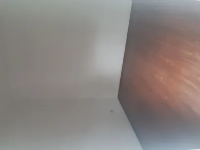 Sobrado com 3 Quartos para alugar, 170m² no Jardim Peri Peri, São Paulo