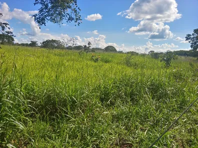 Fazenda / Sítio / Chácara à venda, 60000m² no Jardim Roriz, Brasília