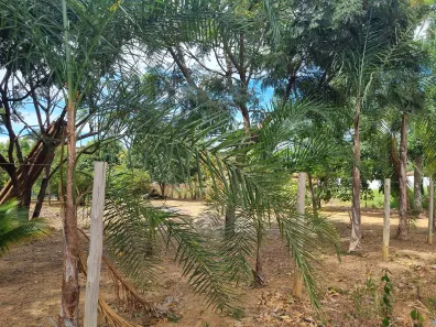 Terreno / Lote / Condomínio à venda, 1024m² no Abadiânia, Abadiânia