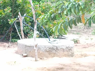 Fazenda / Sítio / Chácara com 3 Quartos à venda, 50m² no , Vera Cruz