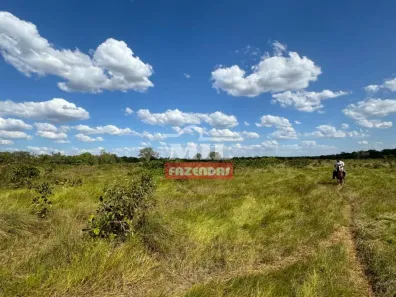 Fazenda / Sítio / Chácara à venda, 500m² no , Pium