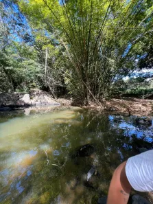 Fazenda / Sítio / Chácara com 5 Quartos à venda, 204m² no , Pacoti