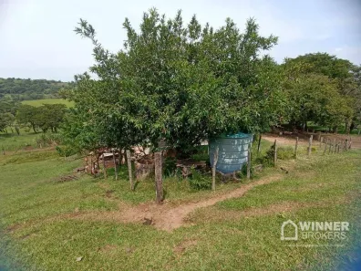 Fazenda / Sítio / Chácara à venda, 302500m² no , Assaí