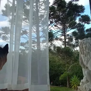 Fazenda / Sítio / Chácara com 4 Quartos à venda, 390m² no Araras, Petrópolis