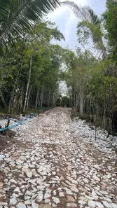 Terreno / Lote / Condomínio à venda, 100m² no , Pacoti