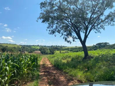 Fazenda / Sítio / Chácara à venda, 1m² no Gleba Destacada da Fazenda Santa Cruz, Jaguariúna