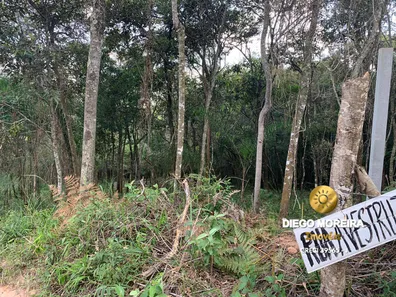 Terreno / Lote / Condomínio à venda, 1200m² no Mato Dentro, Mairiporã