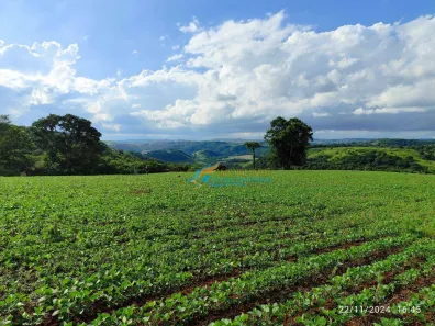 Fazenda / Sítio / Chácara à venda, 219000m² no , Catanduvas
